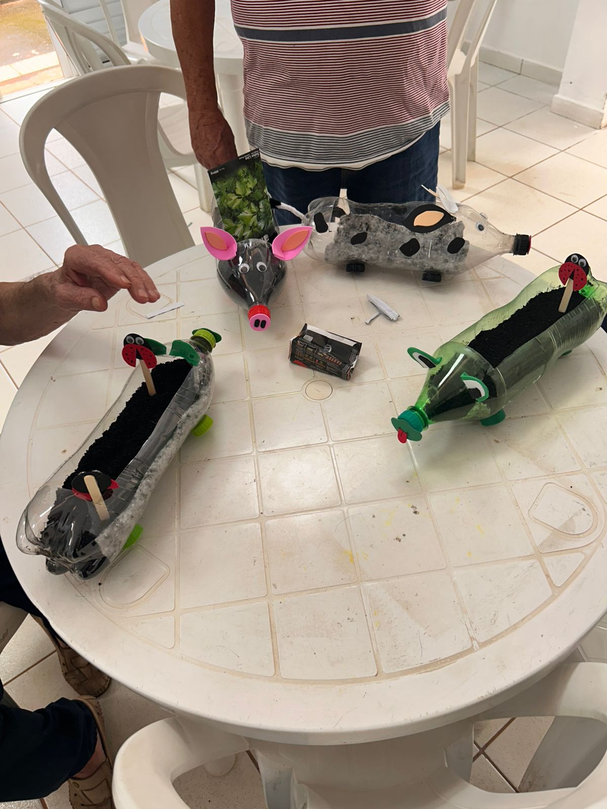 Mãos que Plantam, Memórias que Florescem